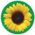 Sunflower-circle